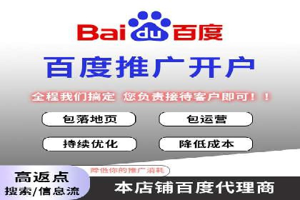 百度竞价入门必看：实操技巧与成功案例